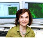 Nonlinear optical imaging to assess metabolism in the good, the bad and the ugly (a.k.a. Stem, cancer and fat cells) @ Cafeteria at MIT Lincoln Labs | Lexington | Massachusetts | United States